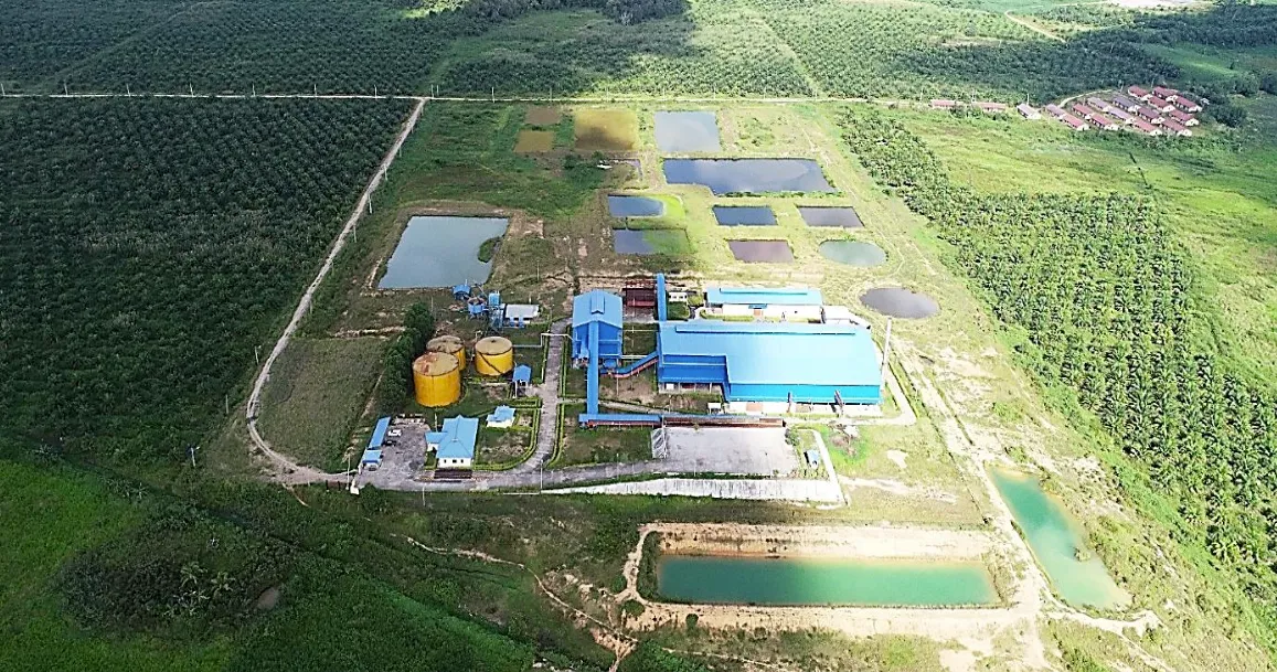 Oil Palm Estate Land Area ±79,000 Ha for Sale in Kutai Kartanegara, East Kalimantan, photo 1