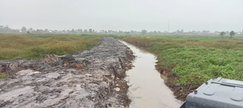 Land for Oil Palm, Land Area 12,500 Ha, for Sale in Hulu Sungai Utara, South Kalimantan, photo 2