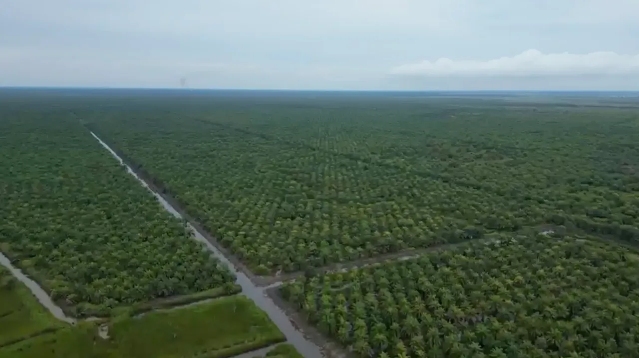 Oil Palm Plantation, Land Area ±600 ha, for Sale in Tapin, photo 1