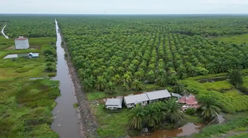 Oil Palm Plantation, Land Area ±600 ha, for Sale in Tapin, photo 4