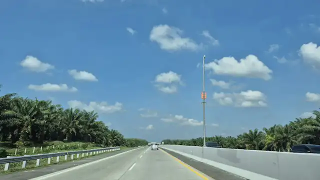 Jalan raya di antara pohon palem