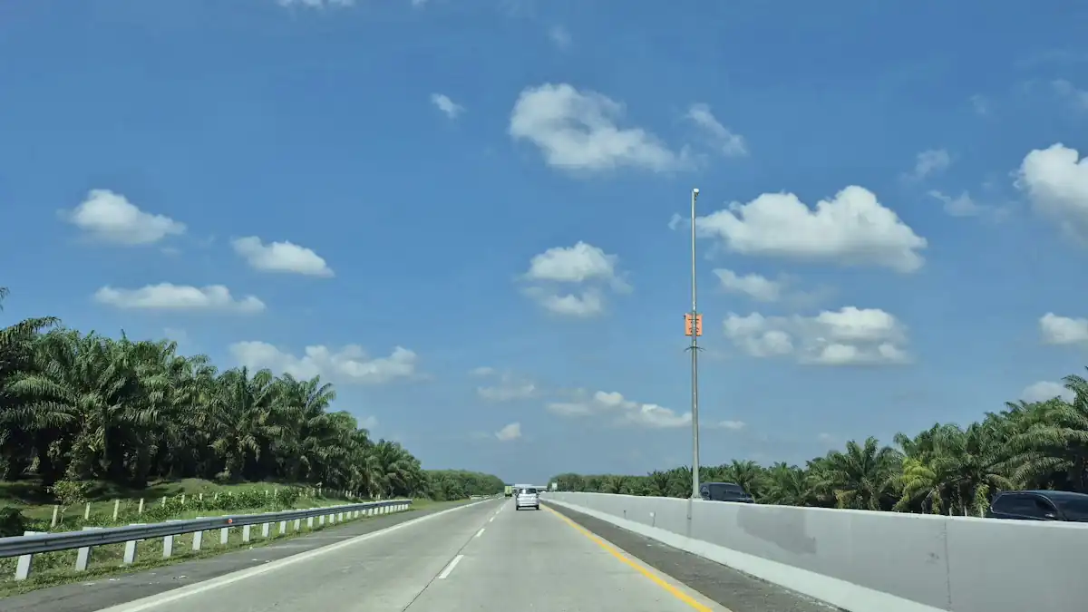 Jalan raya di antara pohon palem