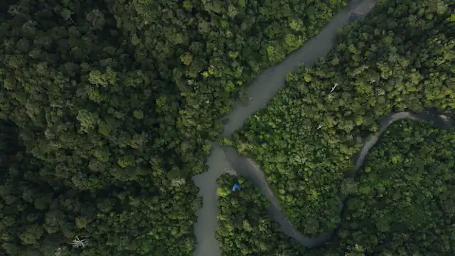 Sungai berkelok di tengah hutan Kalimantan Barat dilihat dari udara