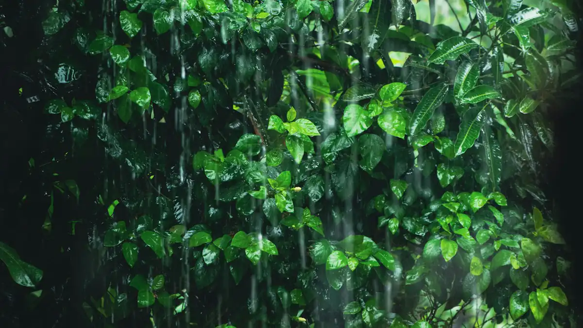 Pohon hijau di tengah hujan
