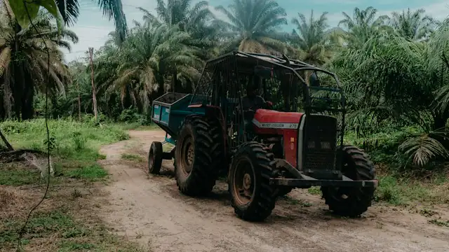 Traktor dengan gerobak di jalan tanah kebun sawit