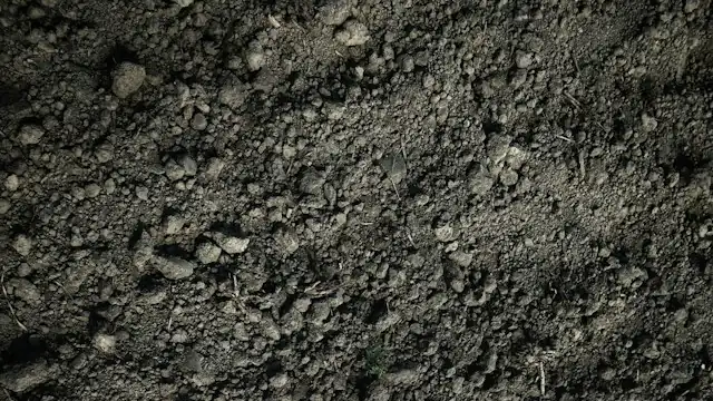 Tanah cokelat gelap dengan bongkahan kecil