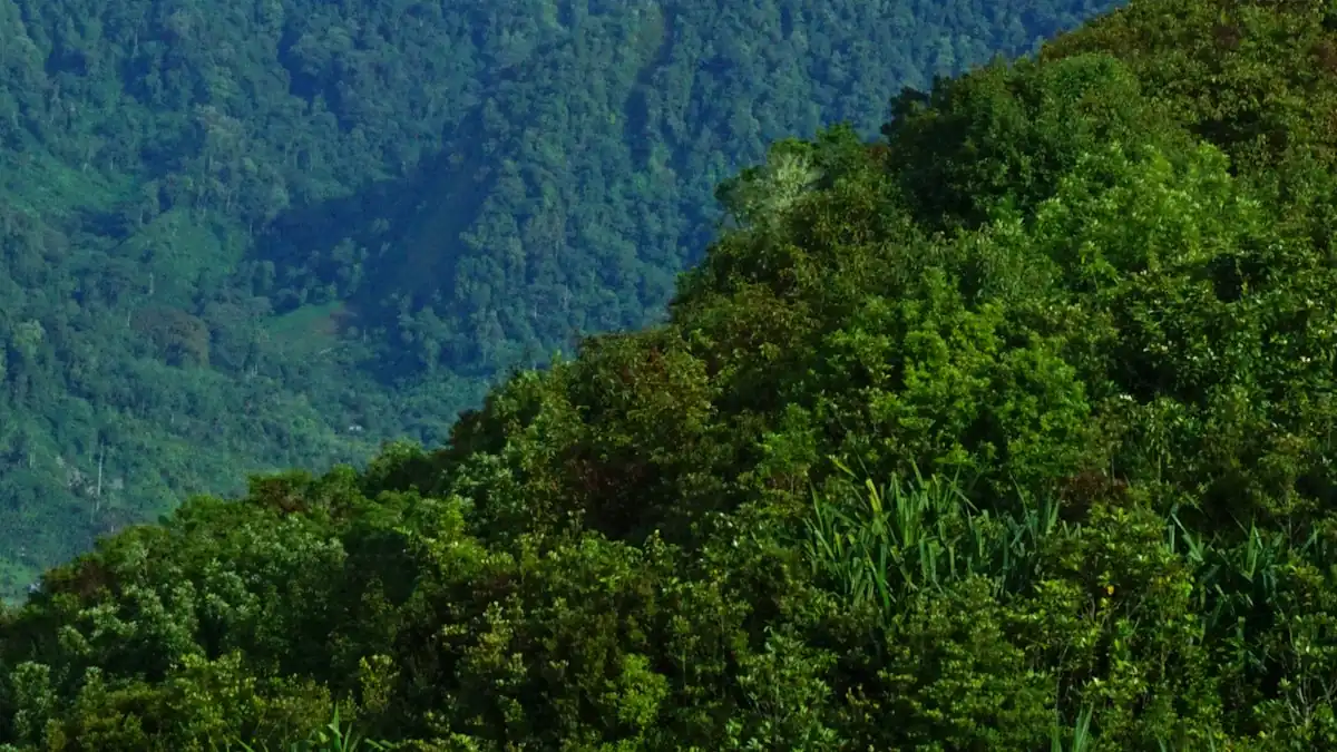Pegunungan Bukit Barisan di Sumatera