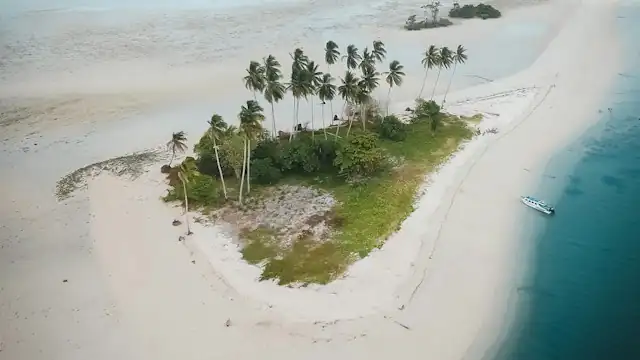 Pantai pasir putih dengan pohon kelapa
