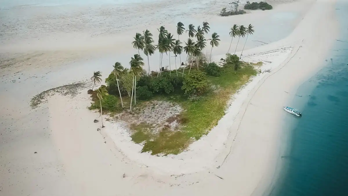 Pantai pasir putih dengan pohon kelapa