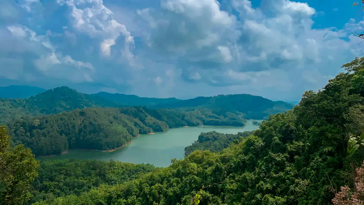 Danau dikelilingi pepohonan