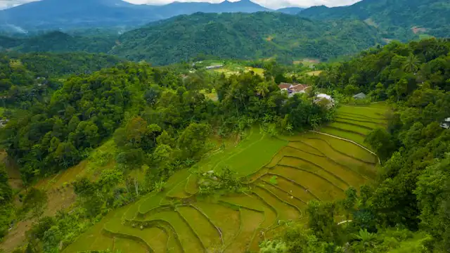 Perbukitan dan sawah di Kabupaten Bogor, Jawa Barat