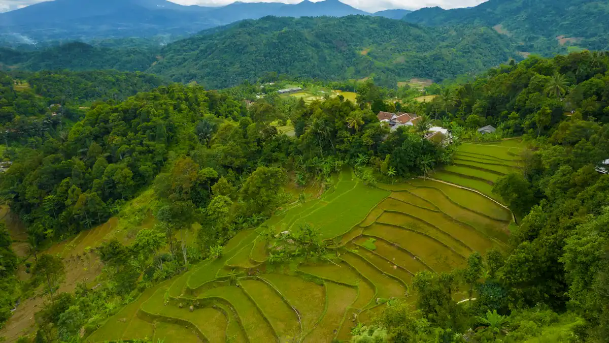 Perbukitan dan sawah di Kabupaten Bogor, Jawa Barat
