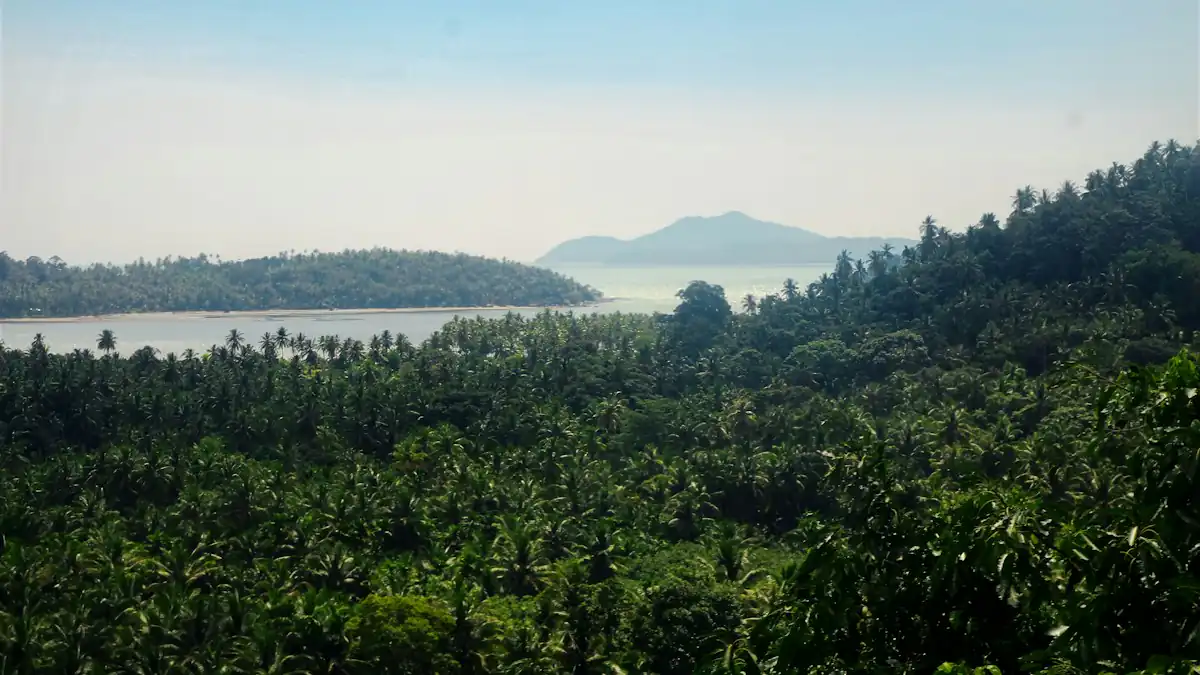 Pemandangan perbukitan di Bengkayang, Kalimantan Barat