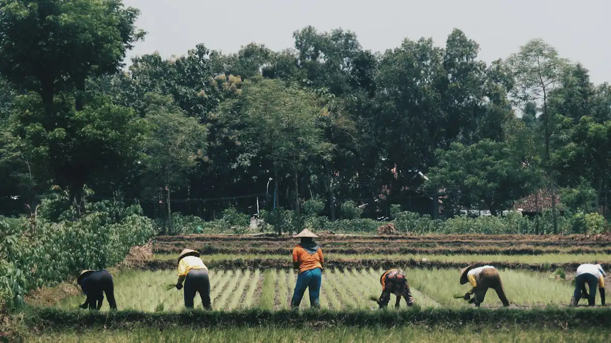 Petani bekerja di lahan