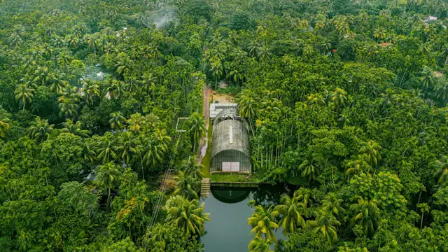 Hutan tropis dilihat dari udara