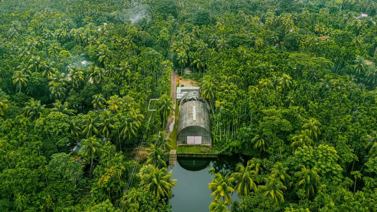 Hutan tropis dilihat dari udara