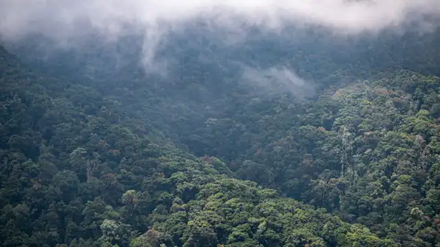 Pegunungan berhutan diselimuti awan