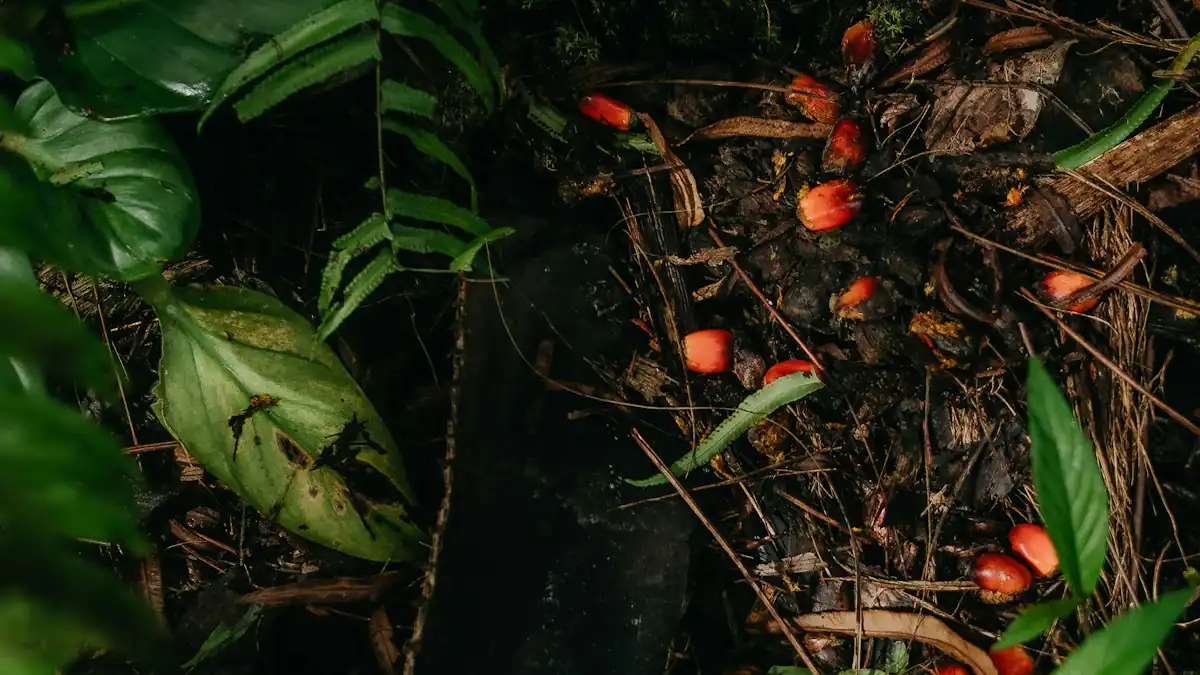 Buah sawit berserakan di tanah kebun
