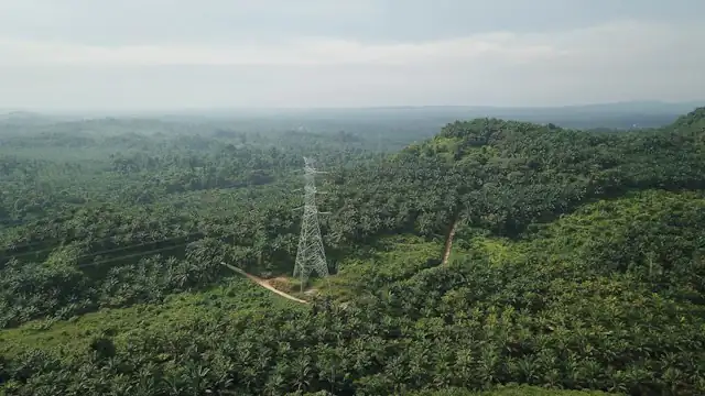 Hamparan perbukitan hijau dengan menara listrik