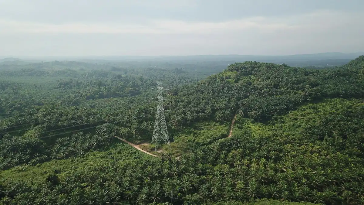 Hamparan perbukitan hijau dengan menara listrik