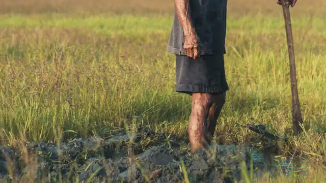 Petani berdiri di lahan sambil memegang cangkul