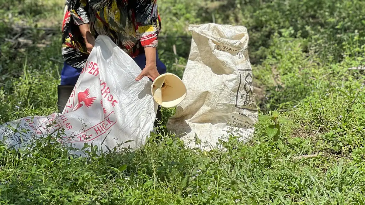 Pekerja kebun membawa ember