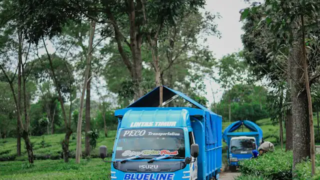 Truk di jalan tanah