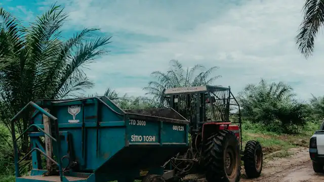 Traktor dengan gerobak biru di kebun sawit