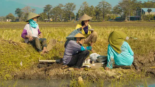 Para petani beristirahat di lahan