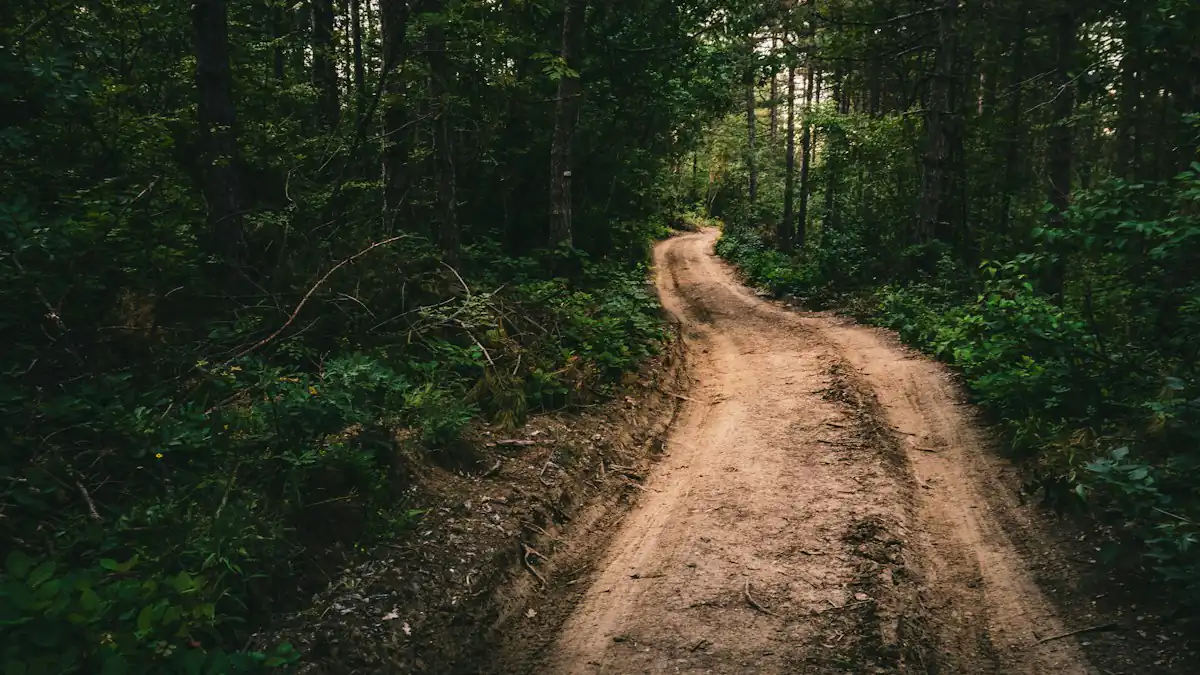 Jalan tanah di tengah pepohonan rimbun