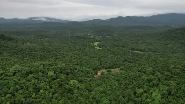 Hamparan hutan dan perbukitan dilihat dari ketinggian