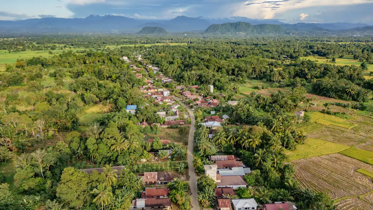 Permukiman dan jalan di tengah kebun dilihat dari udara