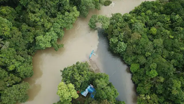 Sungai di tengah hutan dilihat dari udara