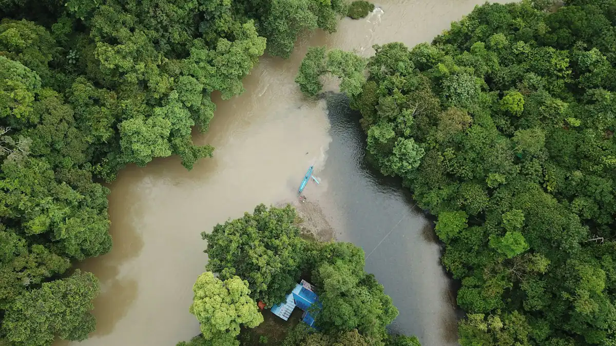 Sungai di tengah hutan dilihat dari udara